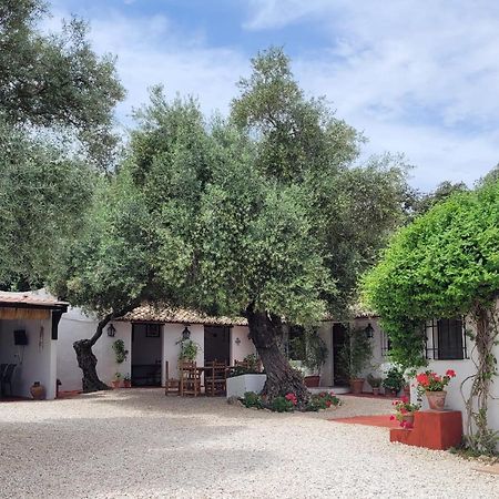 Villa Casa Abanto Ronda Exterior foto