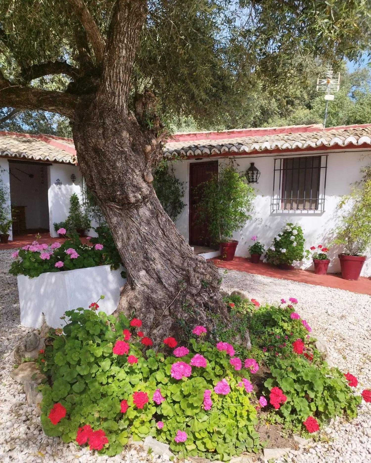 Villa Casa Abanto Ronda Exterior foto